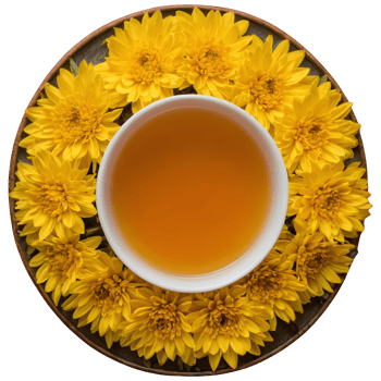 AI generated Macro shot of chrysanthemum tea isolated png