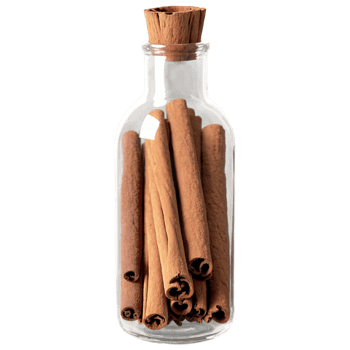AI Generated Cinnamon sticks, rich brown, rolled bark with a textured surface in a clear glass bottle, side view, close-up spice, isolated on transparent background png