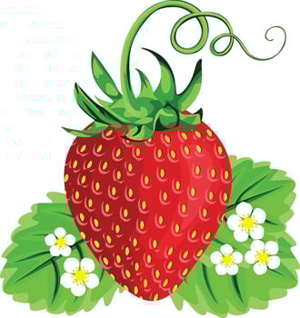 Delicious fresh red strawberry with leaves vector