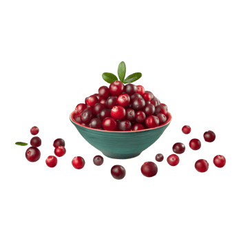 AI generated Cranberry isolated on transparent background png