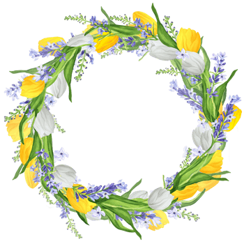Hand-drawn watercolor illustration. Beautiful wreath with white and yellow tulips and lavender png