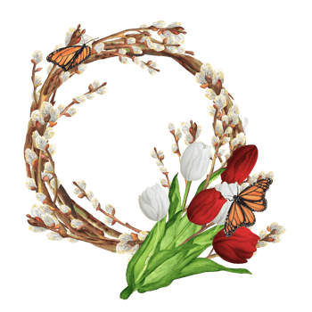 Hand-drawn watercolor illustration. Beautiful spring wreath with willow branches and floral bouquet with red and white tulips, willow branches and butterflies png