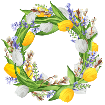 Hand-drawn watercolor illustration. Beautiful wreath with white and yellow tulips, lavender and lovely pussy-willow branches png