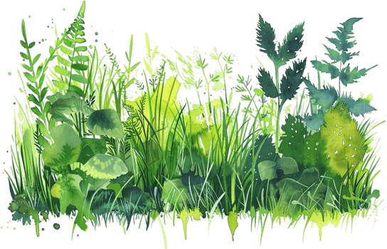 AI generated Detailed Illustration of Meadow Plants and Ferns png