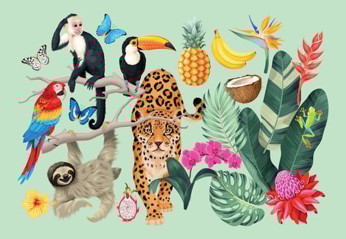 Big vector set of high detailed tropical flora and fauna.