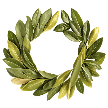 AI Generated Bay leaves whole arranged in a circular pattern warm tones top view delicious details showcasing png