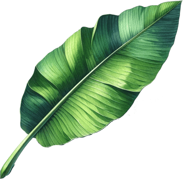 AI generated Single Banana Leaf Watercolor Art png