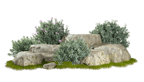 Cut out gardening shrub plants position with steps rock 3d rendering illustration background file png