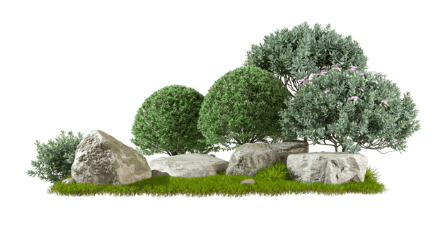 Gardening green shrubs design composition with nature rock cut out backgrounds 3d rendering file png