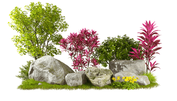 Gardening plants and flowery design composition with realistic nature rock transparent backgrounds 3d rendering png