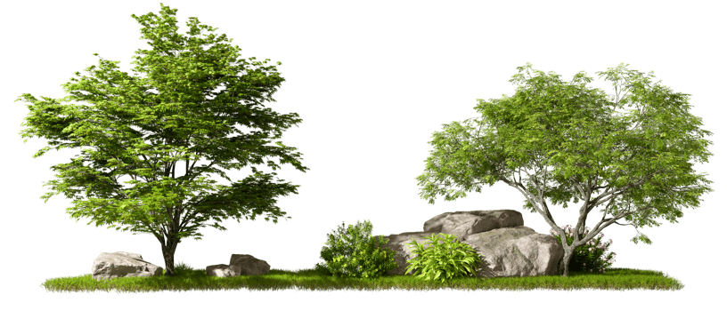 Cut out forest trees composition design on greenery grass 3d rendering file png