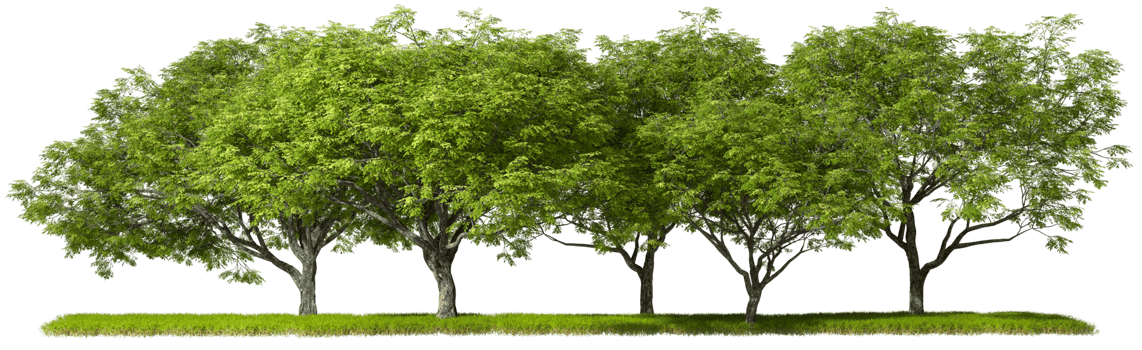 Landscaping jungle green trees row cut out backgrounds 3d rendering file png
