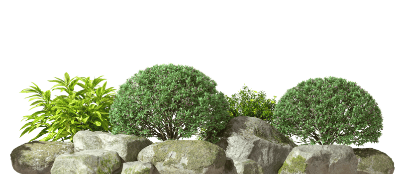 Nature gardening shrubs design lay out cut-out transparent backgrounds 3d rendering png