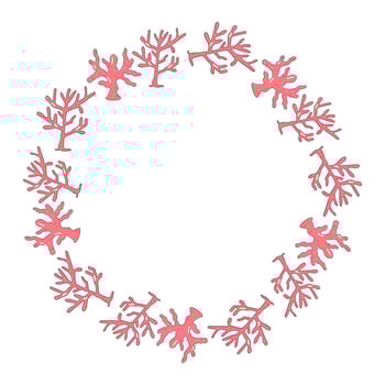 frame, border, of marine plants. summer marine, seaweed, coral, reef vector