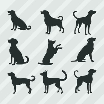 Dogs vector silhouettes bundle, Set of various pose dog collection