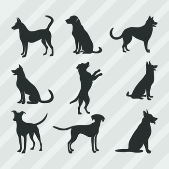 Dogs vector silhouettes bundle, Set of various pose dog collection