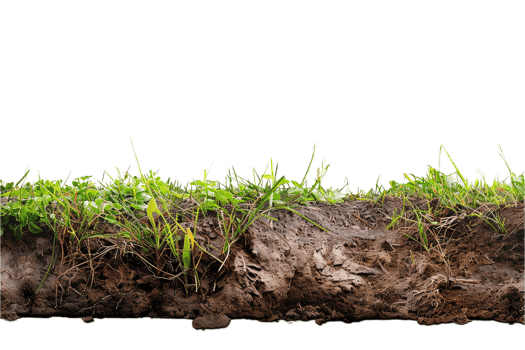 AI generated Cross-Section of Soil Showing Grass and Roots png
