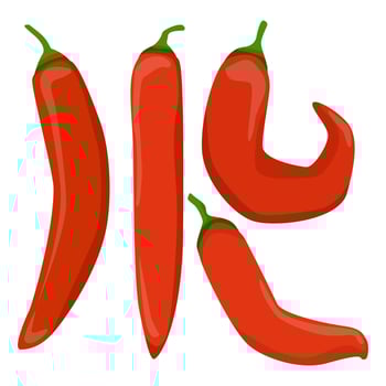 Set of assorted red Mexican peppers vector