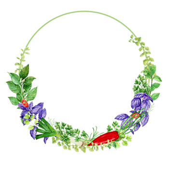 Watercolor frame of herbs isolated. Floral illustration for foam design, product packaging. Culinary herbs mint, bay leaf, basil, dill, tarragon, oregano, pepper, onion, leek. png
