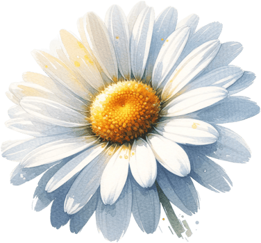 AI generated April Birth Month Flower Daisy Watercolor Clipart Isolated png