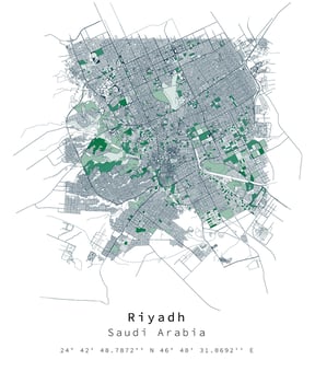 Riyadh ,Saudi Arabia Urban detail Streets Roads Map  ,vector element template image vector