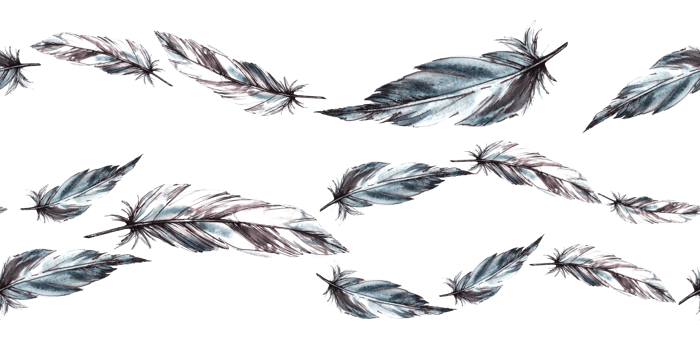 Watercolor seamless border, pattern with monochrome bird feathers grey black color with graphic ink line. Quills wings drawing illustration. Wrapping, fabric, packing print background png