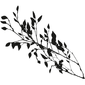Silhouette of flowers. png
