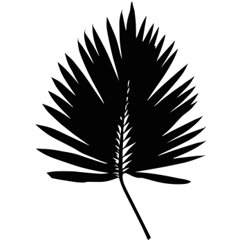 Silhouette of flowers. png