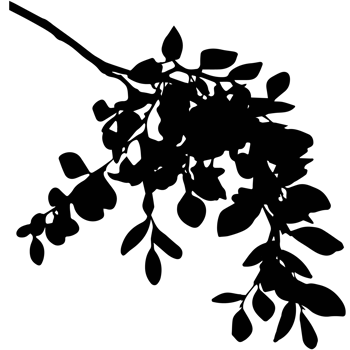 Silhouette of flowers. png