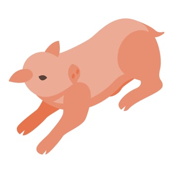 Small pig icon isometric vector. Farmer animals vector