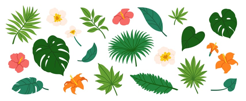 Tropical leaves. Cartoon jungle exotic palm plants and flowers. Banana, philodendron, plumeria, monstera leaf isolated on white background. Floral elements. collection vector