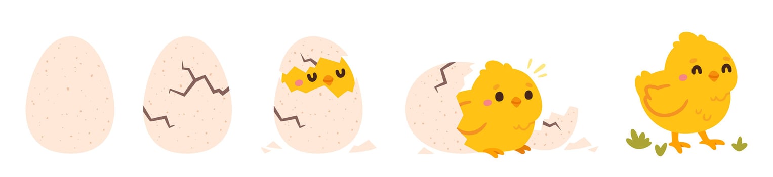 Chicken hatching. Easter cute chick hatched, cracked shell egg. Newborn bird from egg step-by-step process. Domestic hens baby in nest. Farm birds. concept vector