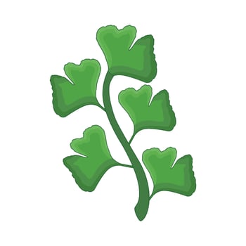 illustration of leaf vector