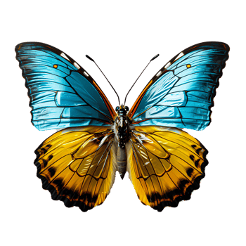 Butterfly in Vibrant Nature Fluttering Wings Amidst Beautiful Garden Blooms png