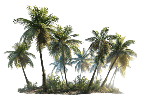 AI generated Tropical Palm Trees Island png