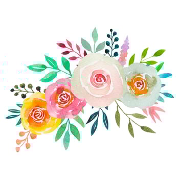 Watercolour Flower Bouquets Yellow Pink Roses Spring Arrangement Isolated On White vector