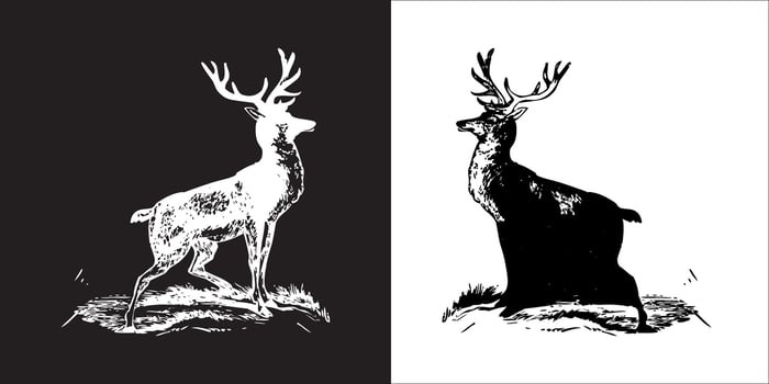 Illustration graphics of deer icon vector