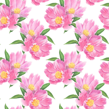 Seamless pattern of peony flowers and leaves drawn with colored pencils. For elegant summer and wedding projects, print creations and vintage style decorations. png