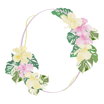 blossom Hibiscus floral frame isolated on background png