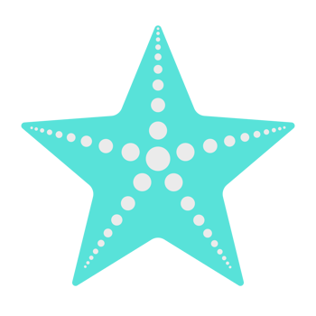 the starfish icon png