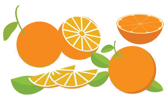 Orange Design And Illustration Bundle. vector