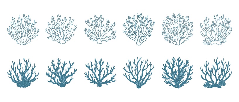 Set of coral reefs or seaweeds, underwater plants. Set of sea coral icons. Sketch, illustration. Vector