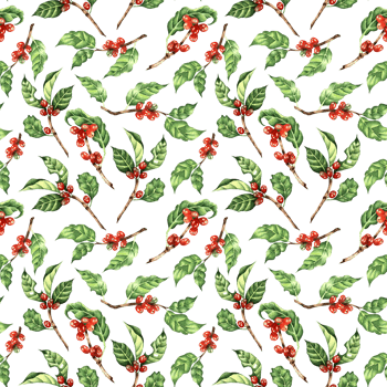Watercolor illustrations coffee tree, branch, leaves, beans. Seamless repeating pattern of nature simple print, sketch of tropical flowers isolated. Drawn by hand. png