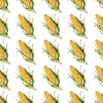 Watercolor seamless pattern of corn and leaves. Hand painted food isolated . Autumn harvest festival. Botanical illustration for design, print or background. png