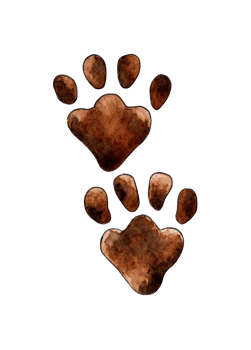 Watercolor painting of animal paw prints. Cute animal element for decoration, design, craft projects, scrapbooking, pet tags. Isolated . Drawn by hand. png