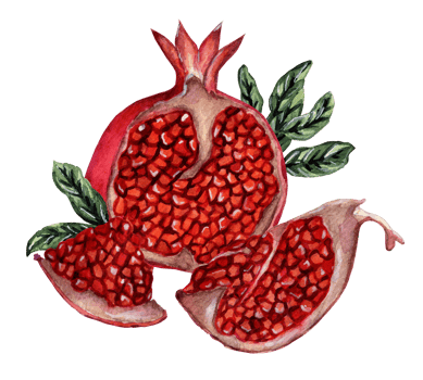 Fresh ripe pomegranate cut into pieces with seeds and leaves. Watercolor illustration of juicy pomegranate slices. Isolated. Drawn by hand. png