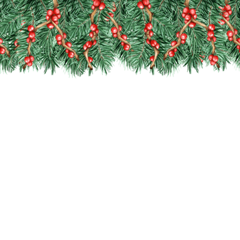 Seamless Christmas and New Year decorations isolated. Watercolor illustration Red berry holly on branches of pine, spruce, fir. For holiday banners, headers, posters. Drawn by hand. png