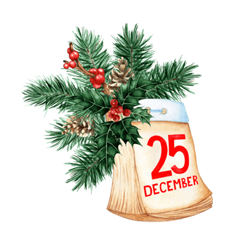 Watercolor illustration of tear-off calendar retro style December 25, catholic christmas. The calendar is decorated with fir branches, pine cones, ilex, holly. Isolated. drawn by hand. png