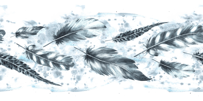 Watercolor seamless border with monochrome bird feathers grey color with granulation of shades on watercolor splashes, stains background. Quills wings drawing illustration. Wrapping, fabric Isolated png