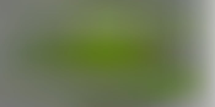 Light green vector abstract blur texture.